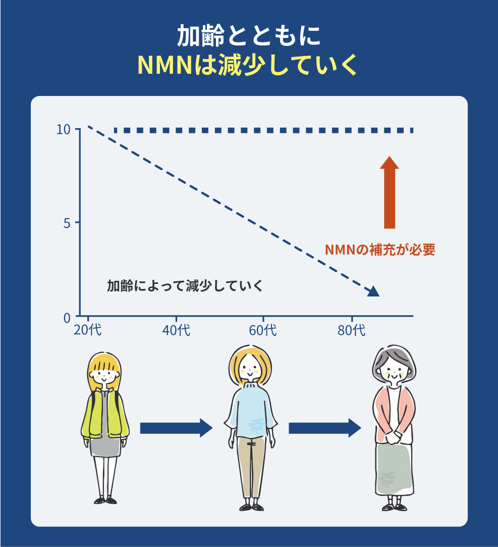 NMNとは