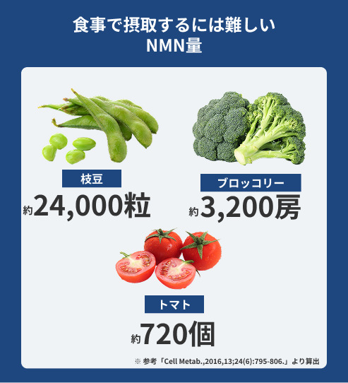 NMNとは