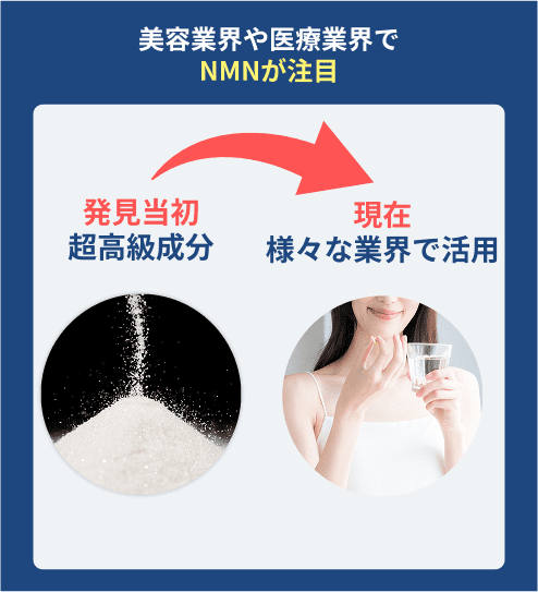 NMNとは
