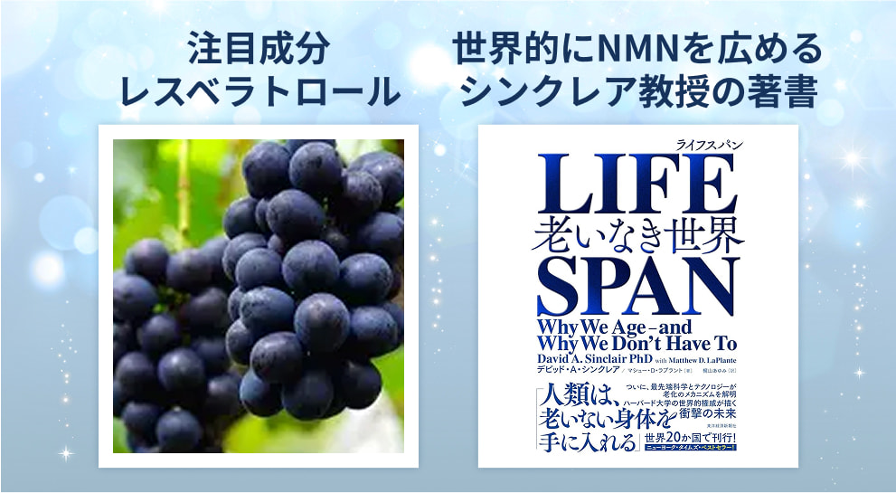 NMNサプリの選び方